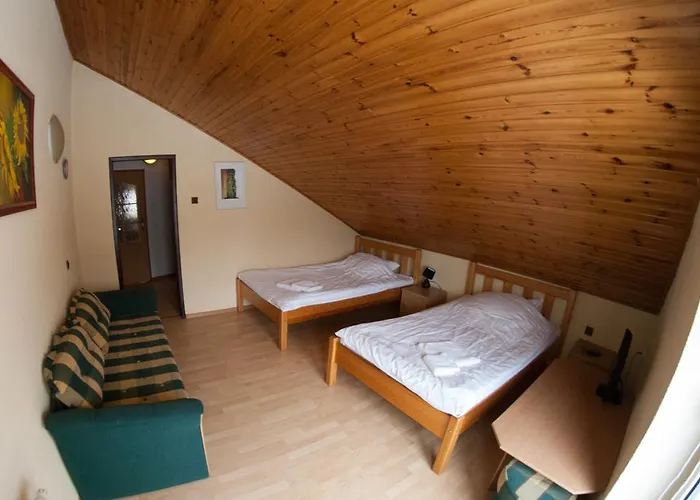 Kawiarni Muzealnej منزل للإقامة Goluchow